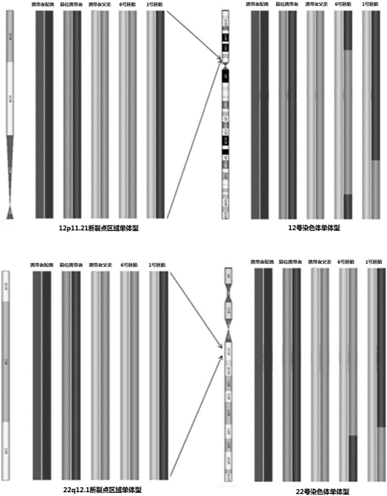 Method for identifying embryos carrying chromosomal balanced translocation and normal embryos