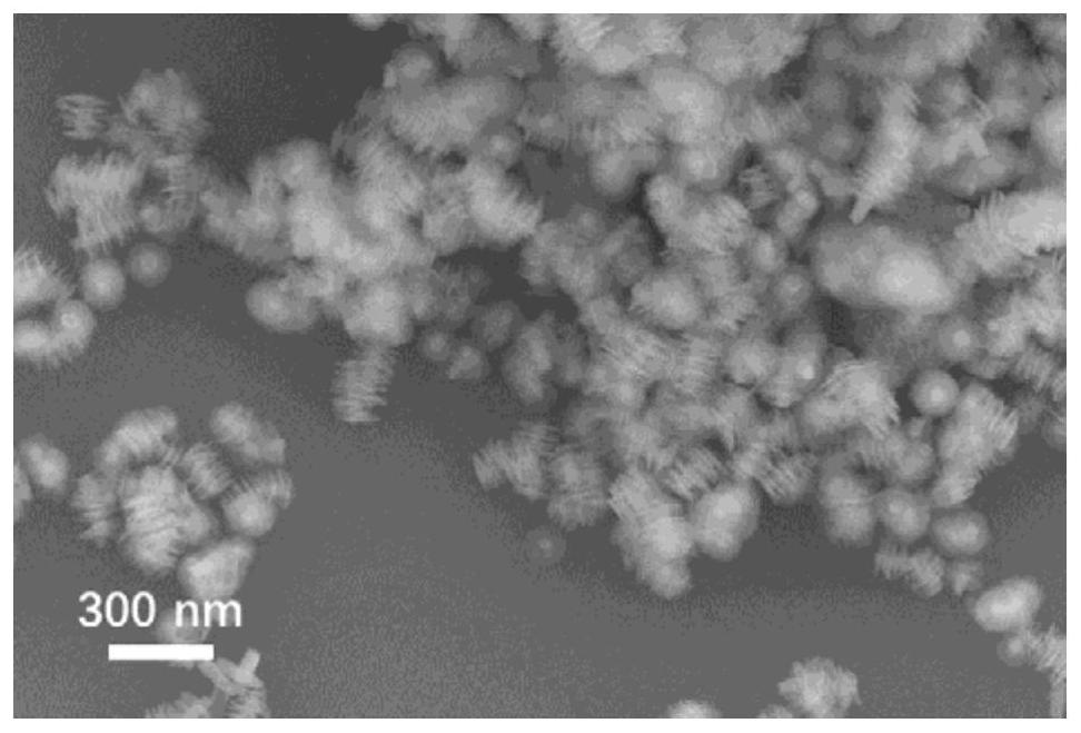 Preparation method of quantum dot modified nanosheet composite material