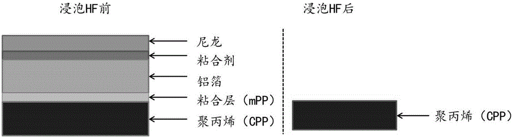 Detection method for flexible package lithium ion battery aluminum plastic film corrosion