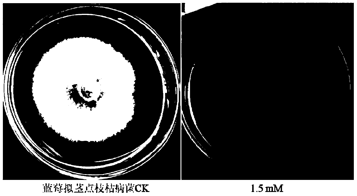 Application of diclofenac sodium in the preparation of fungicides for preventing and treating plant diseases caused by plant pathogenic bacteria