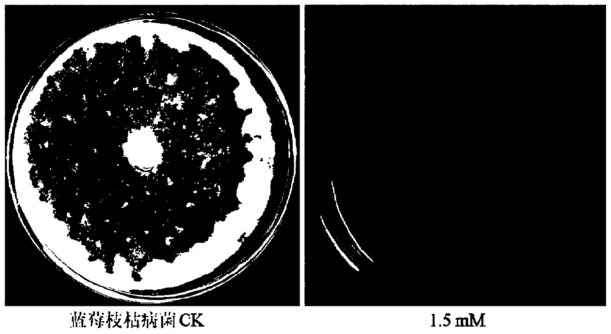 Application of diclofenac sodium in the preparation of fungicides for preventing and treating plant diseases caused by plant pathogenic bacteria