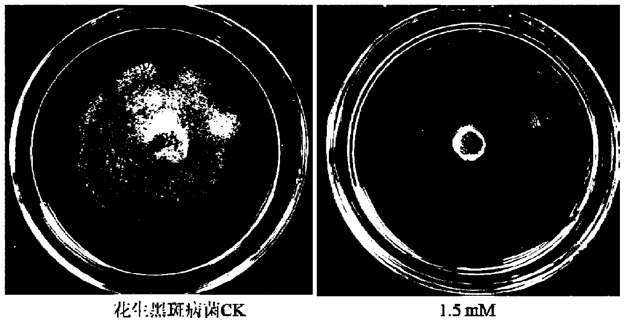 Application of diclofenac sodium in the preparation of fungicides for preventing and treating plant diseases caused by plant pathogenic bacteria