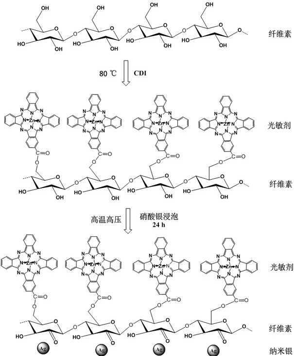 A kind of two-component antibacterial cellulose material and its preparation method and application
