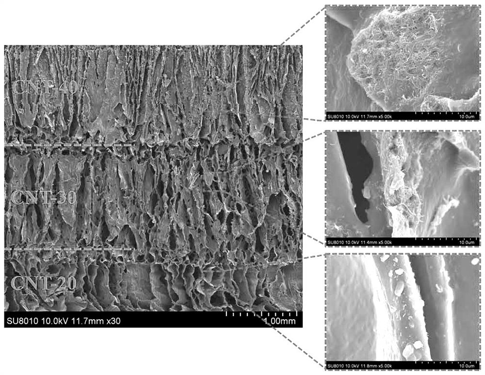 Low-reflection and high-absorption electromagnetic shielding polymer composite material with gradient electric conduction-uniform heat conduction dual-functional network