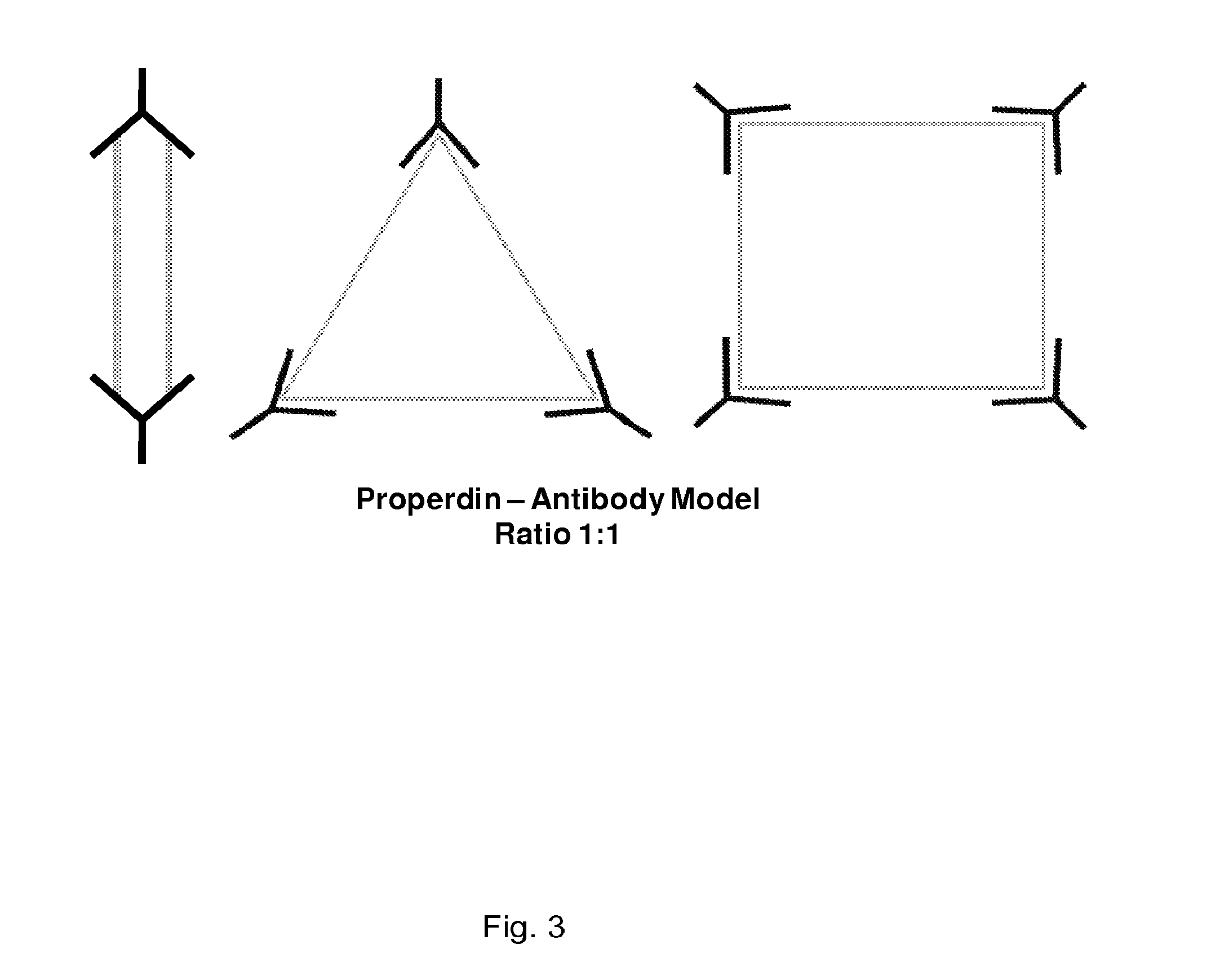 Anti-properdin antibodies