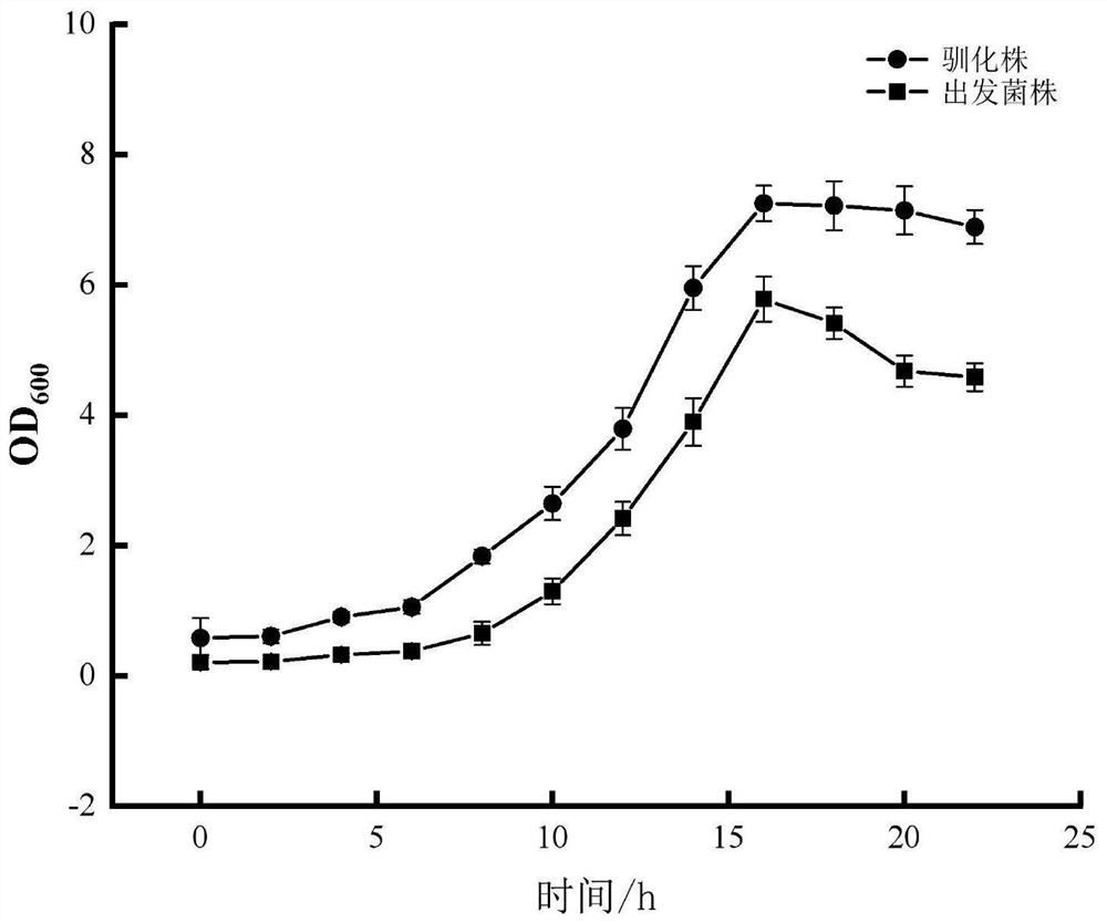 A strain of Saccharomyces cerevisiae and its application in the preparation of fermented food