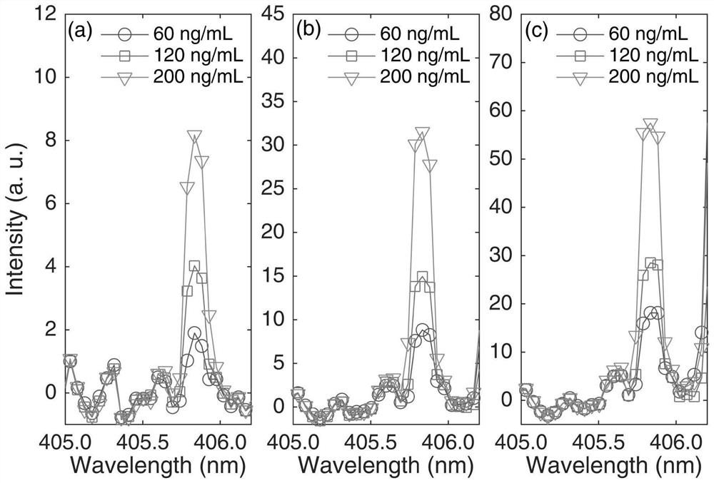 Method for analyzing trace Pb element in aqueous solution through combination of electrodeposition and SD-LIBS