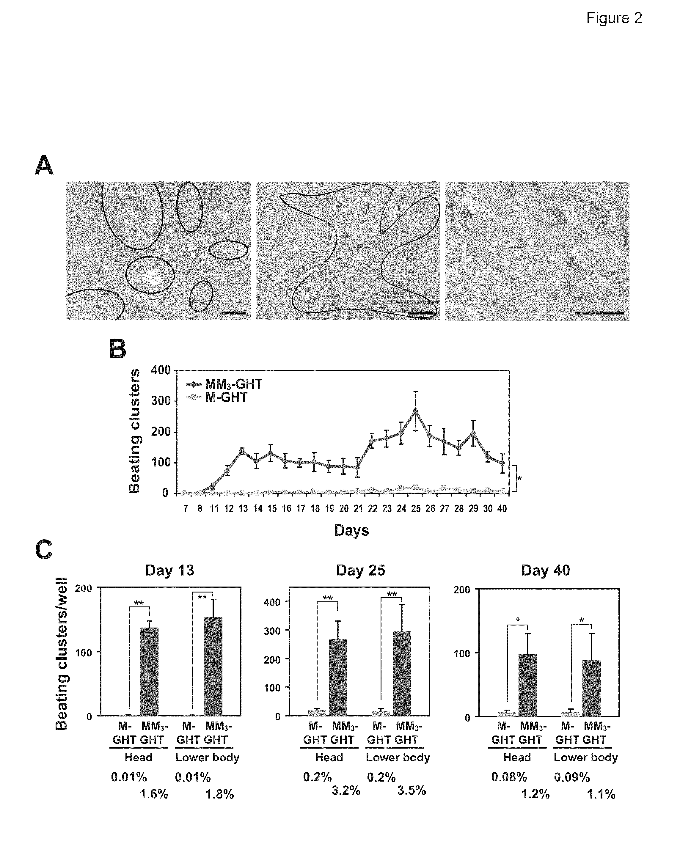 Method of efficiently converting non-cardiac cells into cardiovascular cells