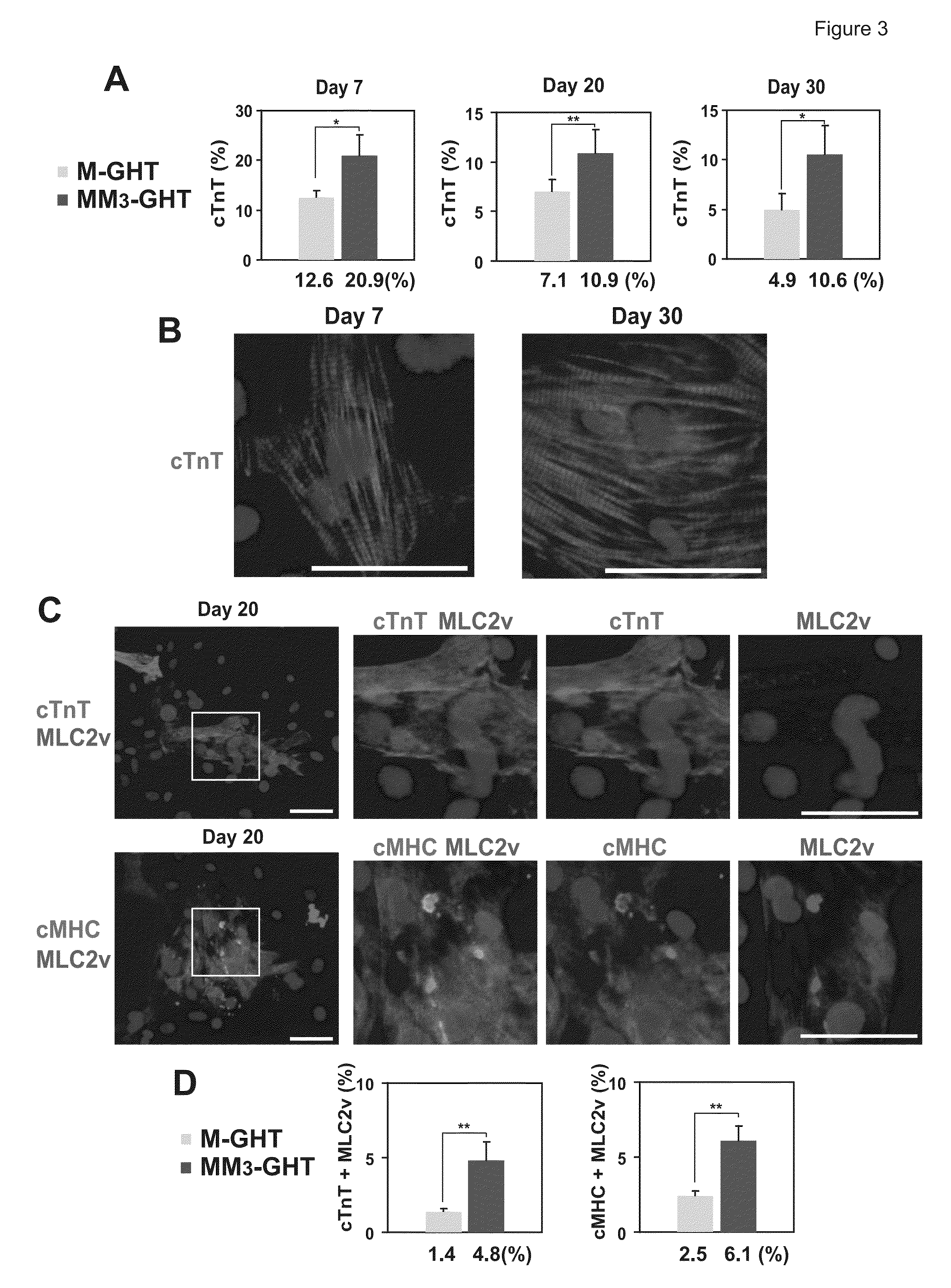 Method of efficiently converting non-cardiac cells into cardiovascular cells