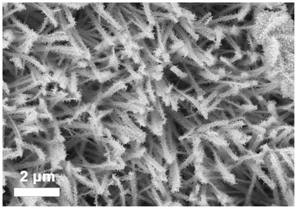 A method for preparing 2,5-furandimethanol by electrocatalytic hydrogenation of carbon-coated copper nitride nanowire catalyst