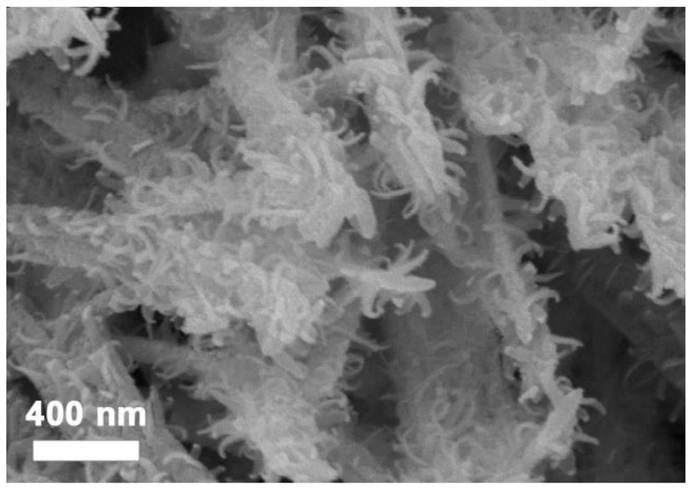 A method for preparing 2,5-furandimethanol by electrocatalytic hydrogenation of carbon-coated copper nitride nanowire catalyst