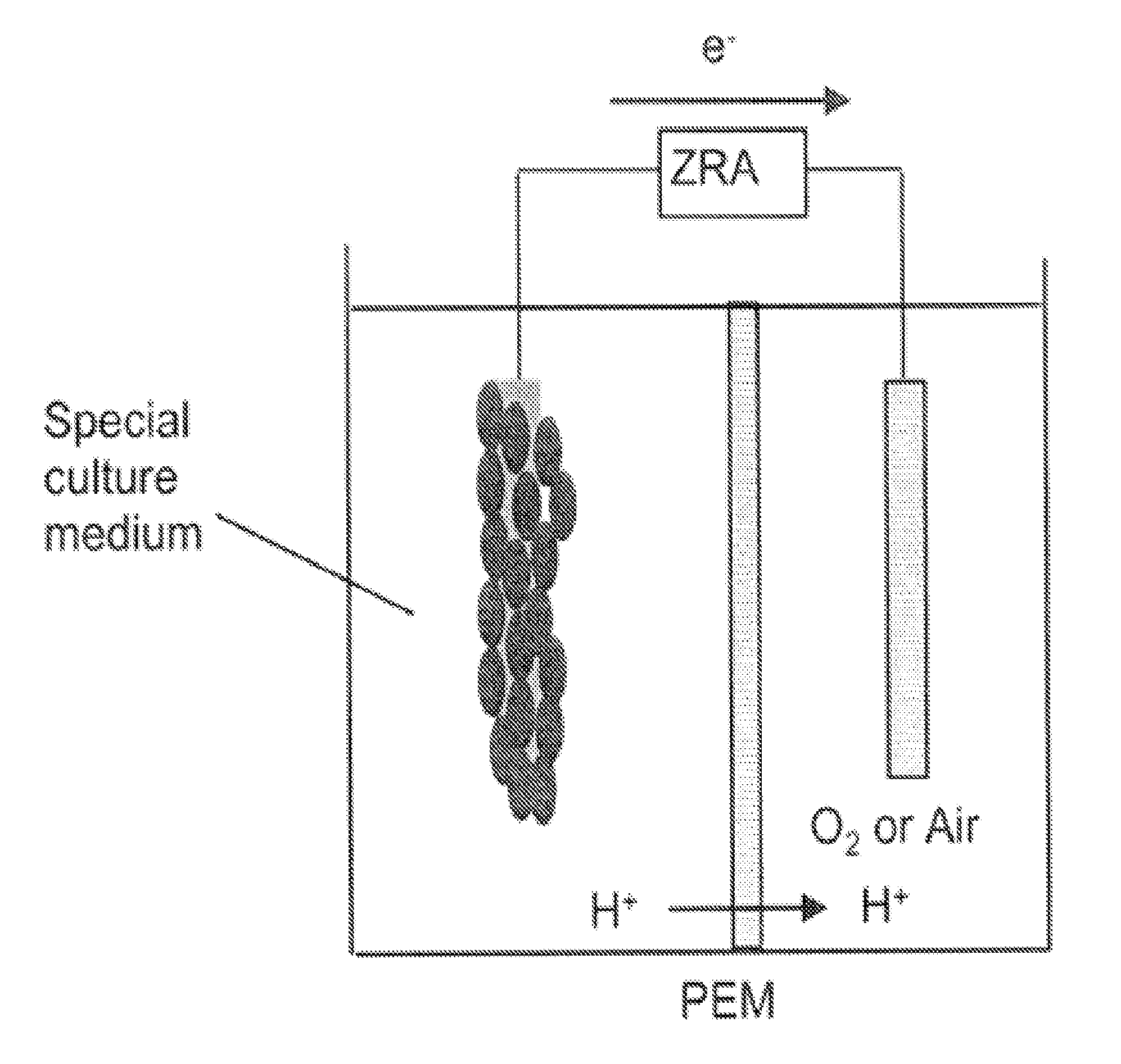 Methods and compositions for applications related to microbiologically influenced corrosion