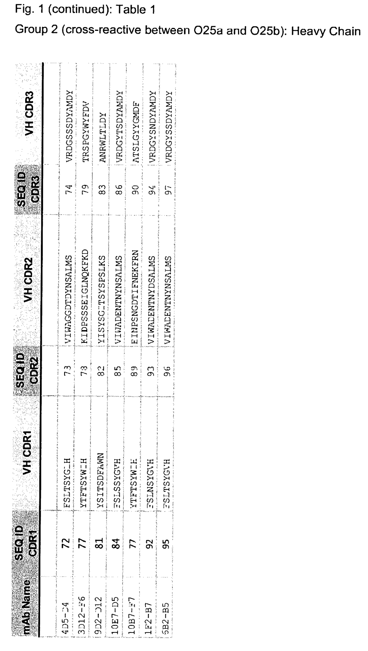 E. coli specific antibody sequences