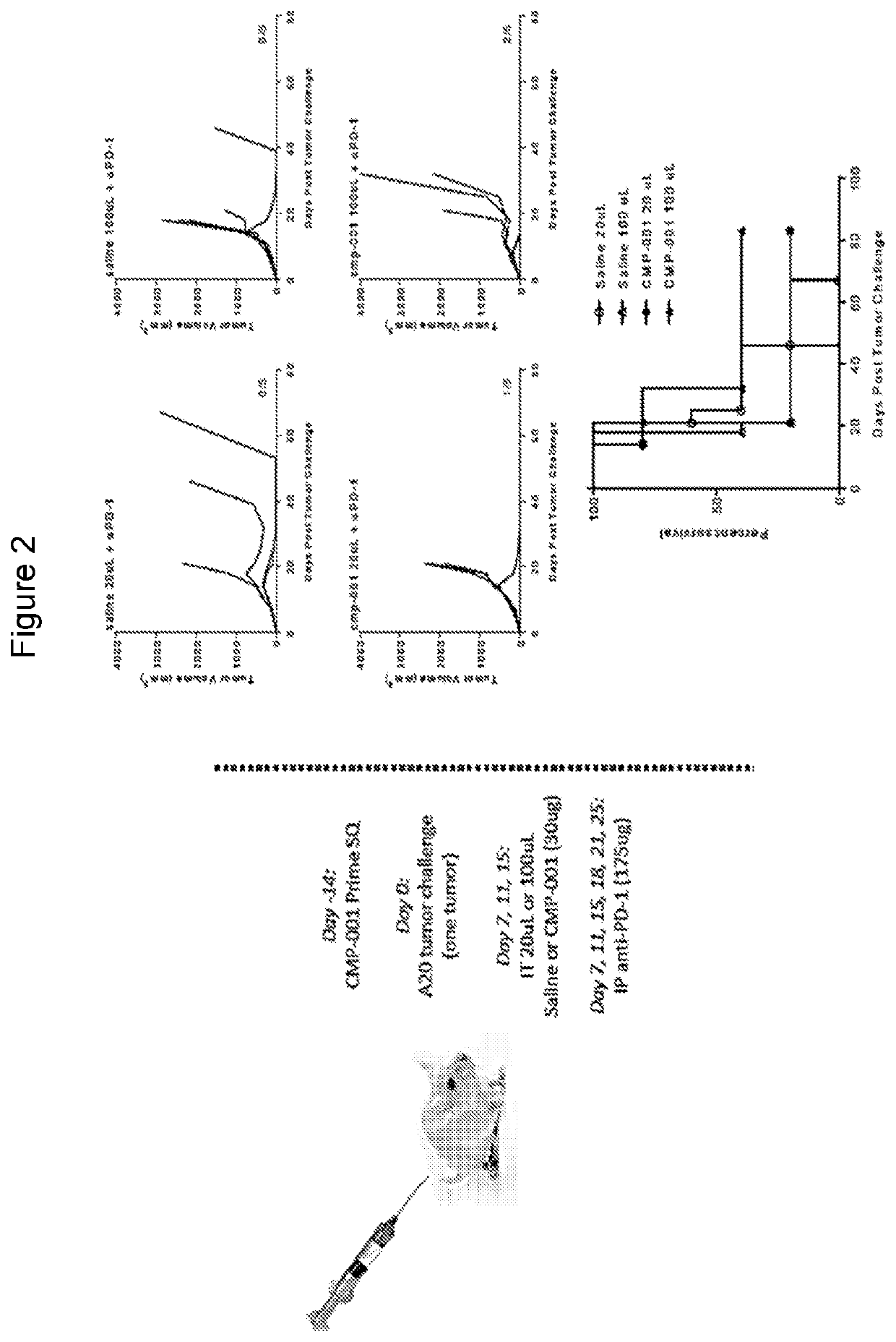 Compositions and methods for tumor immunotherapy