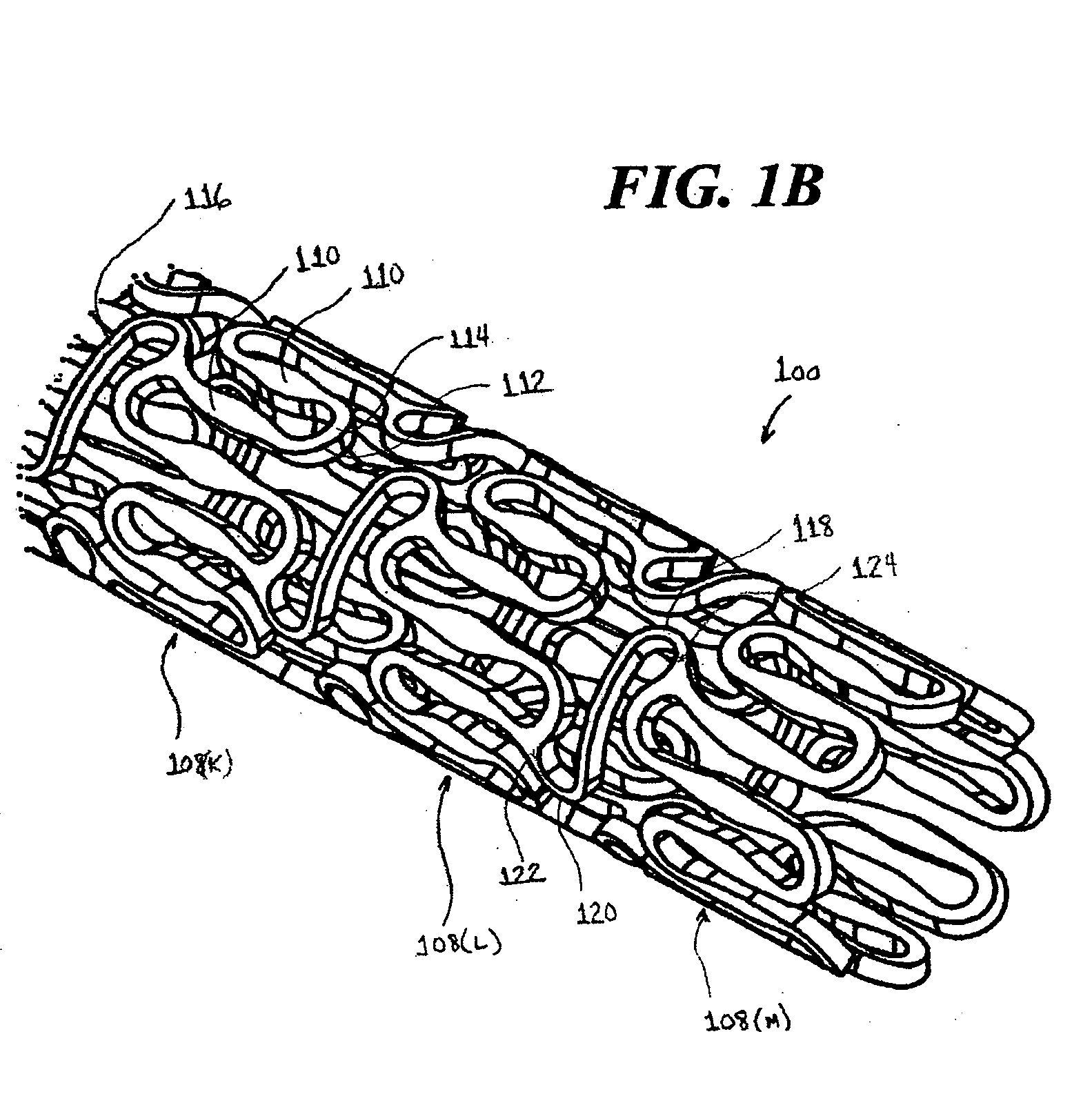Apparatus for treating a bifurcated region of a conduit