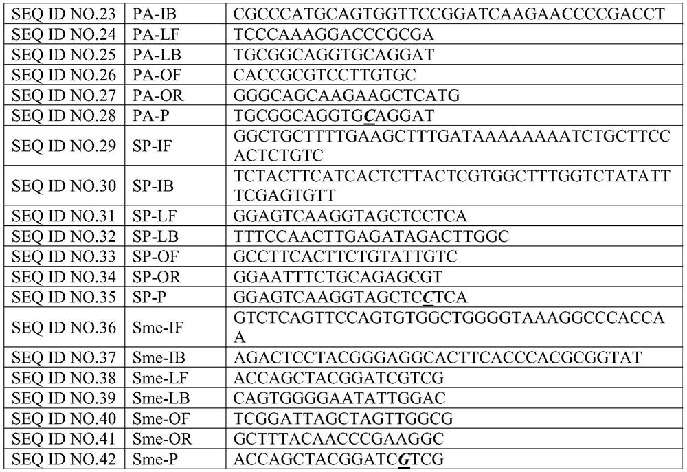 A kit for isothermal detection of bacterial pathogens in respiratory tract infections with enzyme-cleavage probes