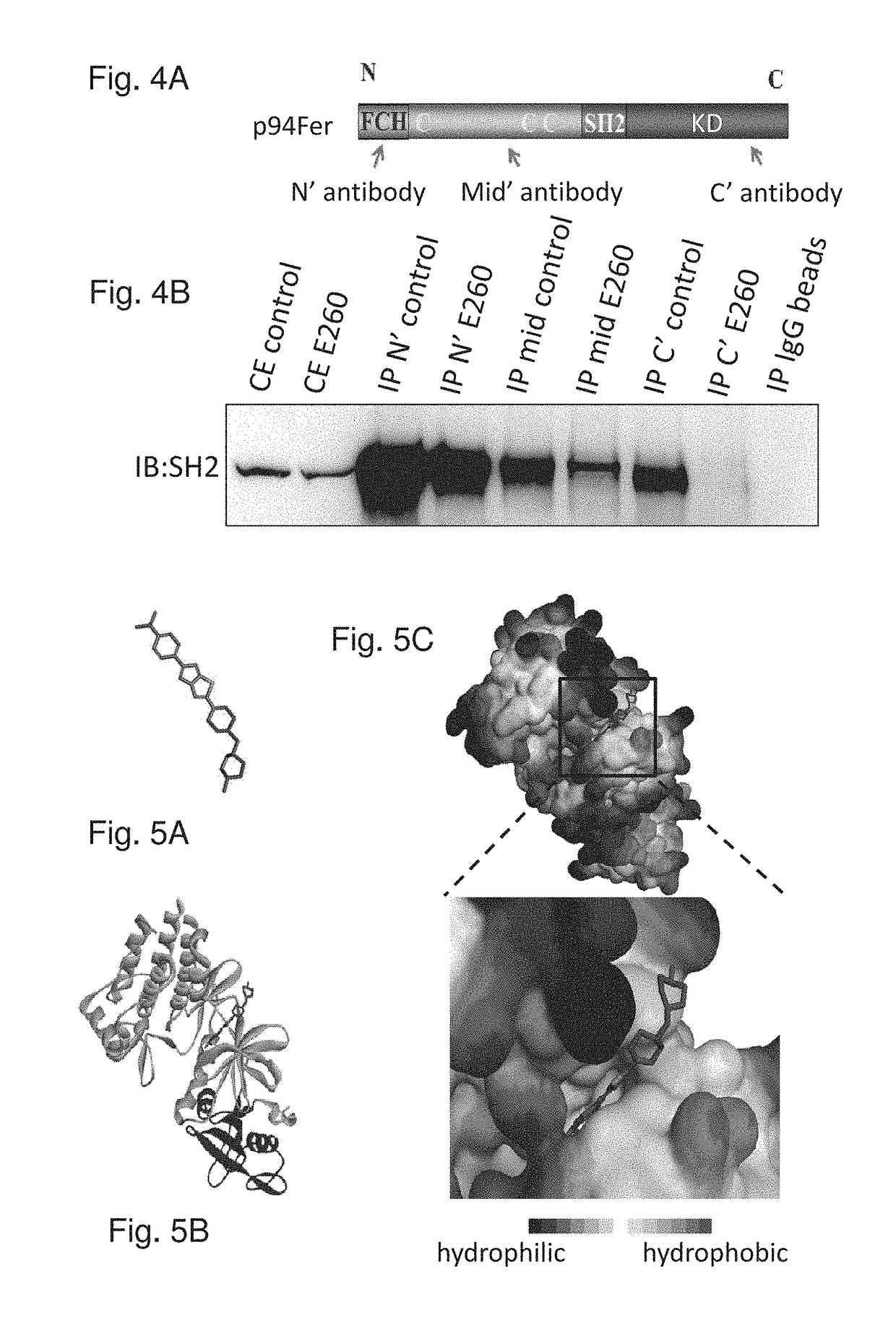 Modulators of cell death processes