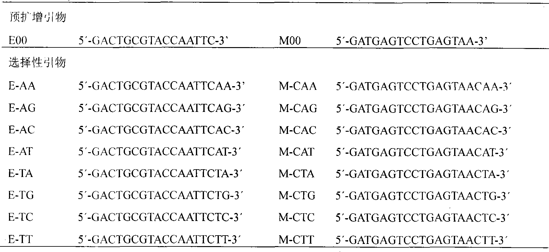 Molecule marking method for gene locus for preventing mycosphaerella melonis of muskmelon