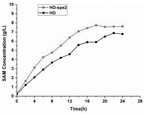 Method for raising S-adenosyl-L-methionine production level by saccharomyces cerevisiae metabolic engineering