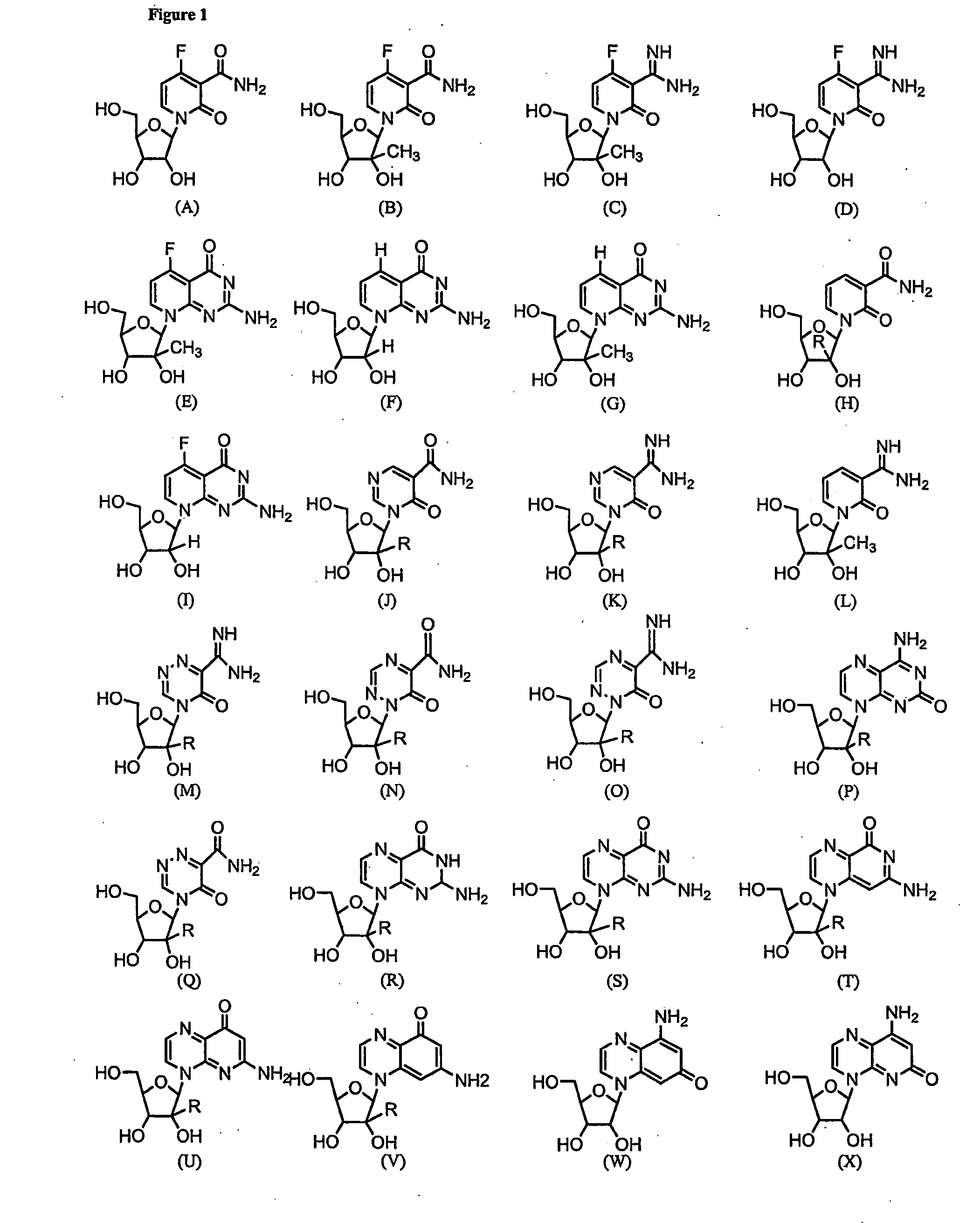 Nucleosides With Non-Natural Bases as Anti-Viral Agents