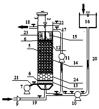 A three-dimensional electrobiological coupling water purification system and water purification method