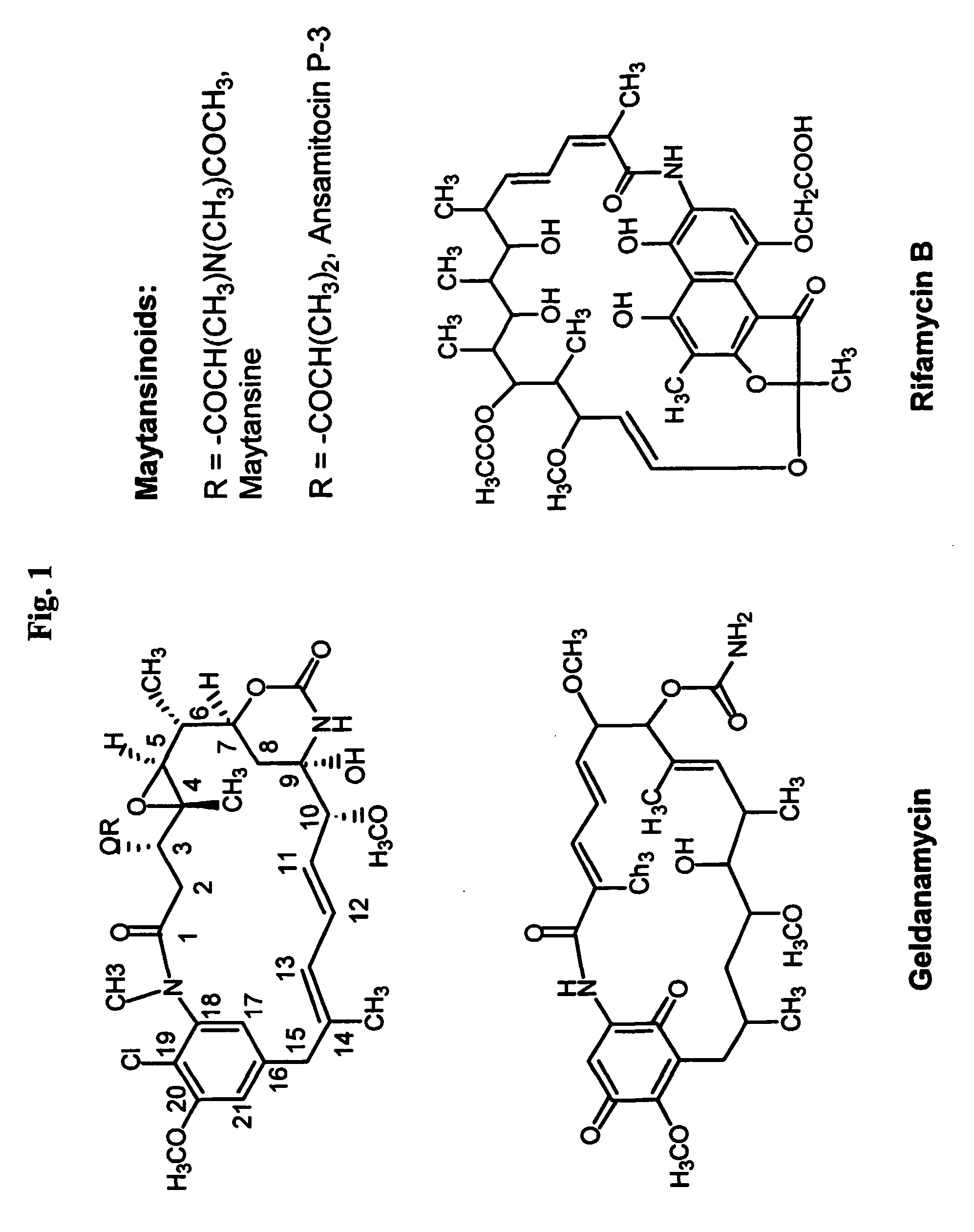 Biosynthetic gene cluster for the maytansinoid antitumor agent ansamitocin
