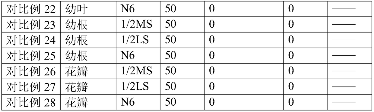 Induction method of cymbidium ensifolium callus