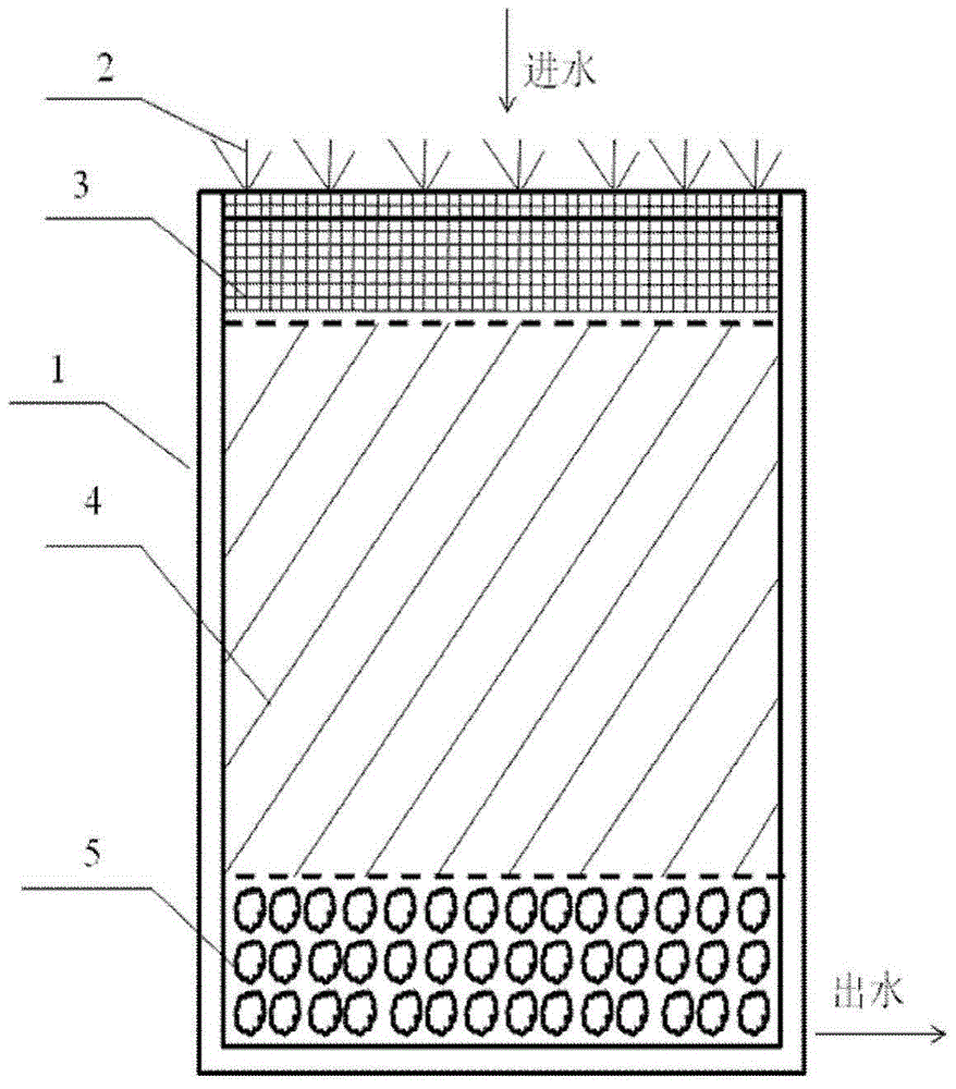 An ecological infiltration system for advanced treatment of tail water in a sewage plant and a method for treating tail water