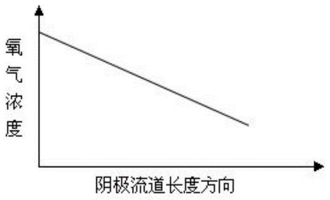 A cathode structure of a proton exchange membrane fuel cell