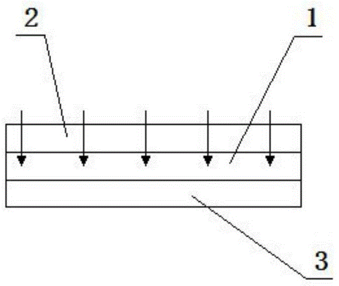 A cathode structure of a proton exchange membrane fuel cell