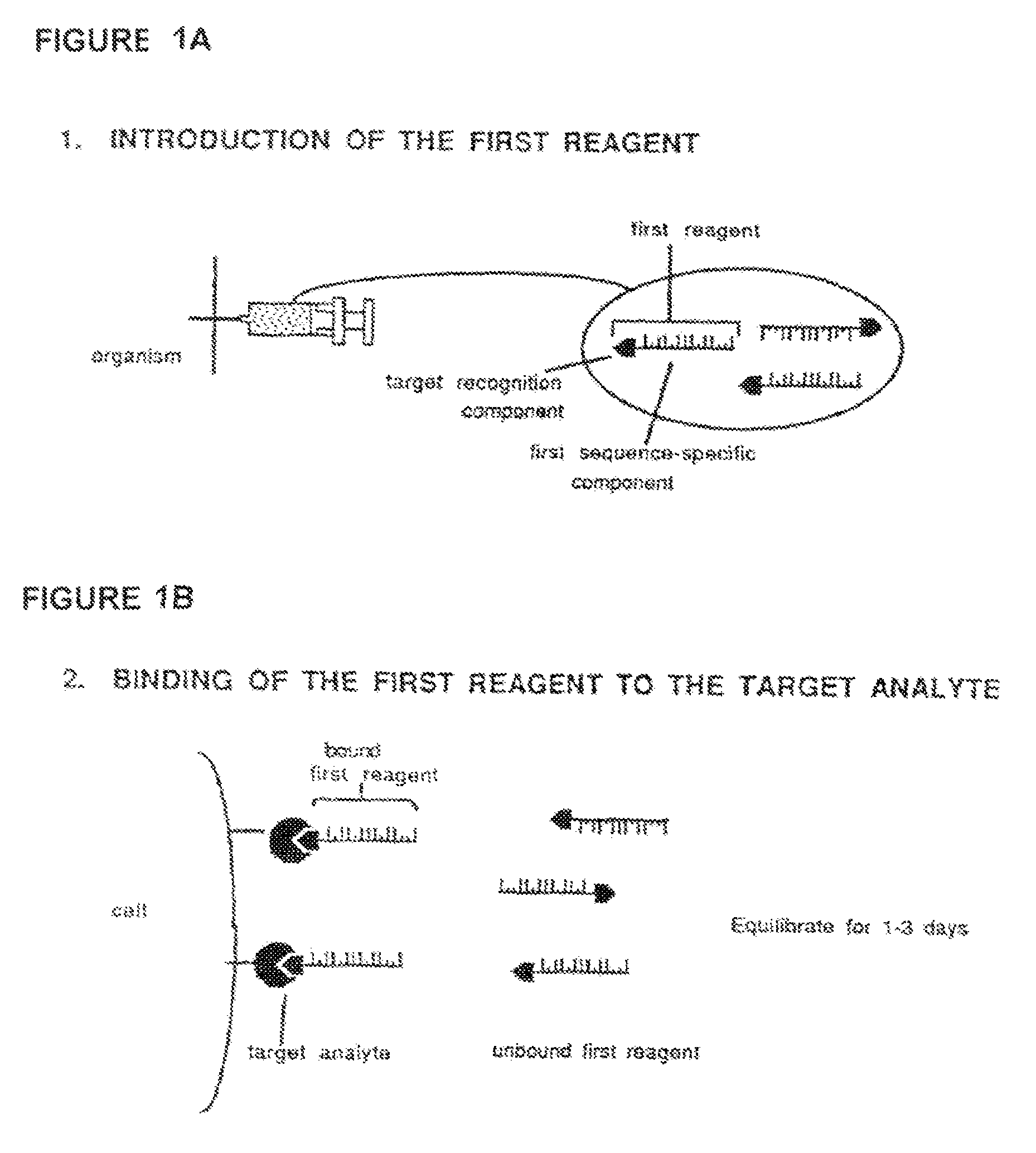 Method for in vivo delivery of active compounds using reagent conjugate