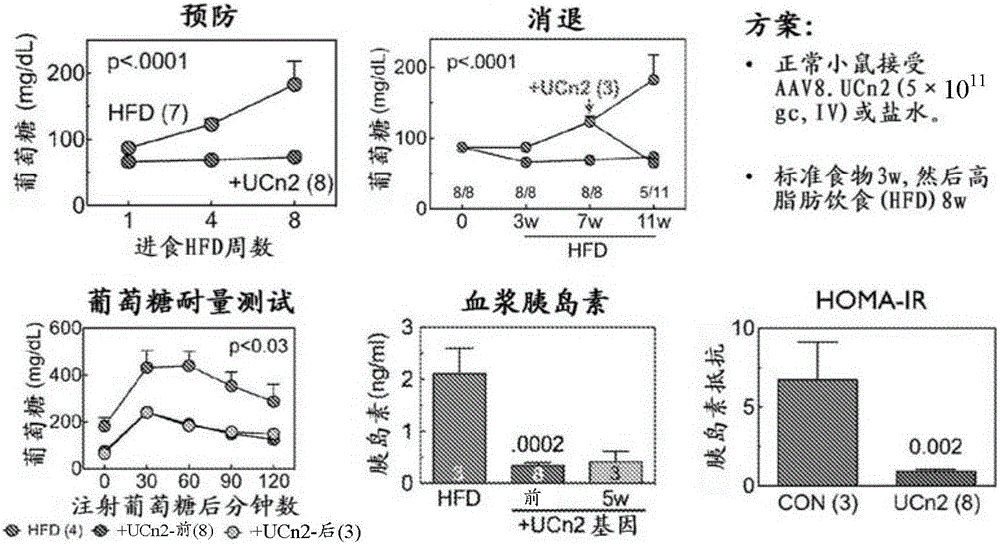 Systemic delivery of virus vectors encoding urocortin-2 and related genes to treat diabetes-related cardiac dysfunction and congestive heart failure