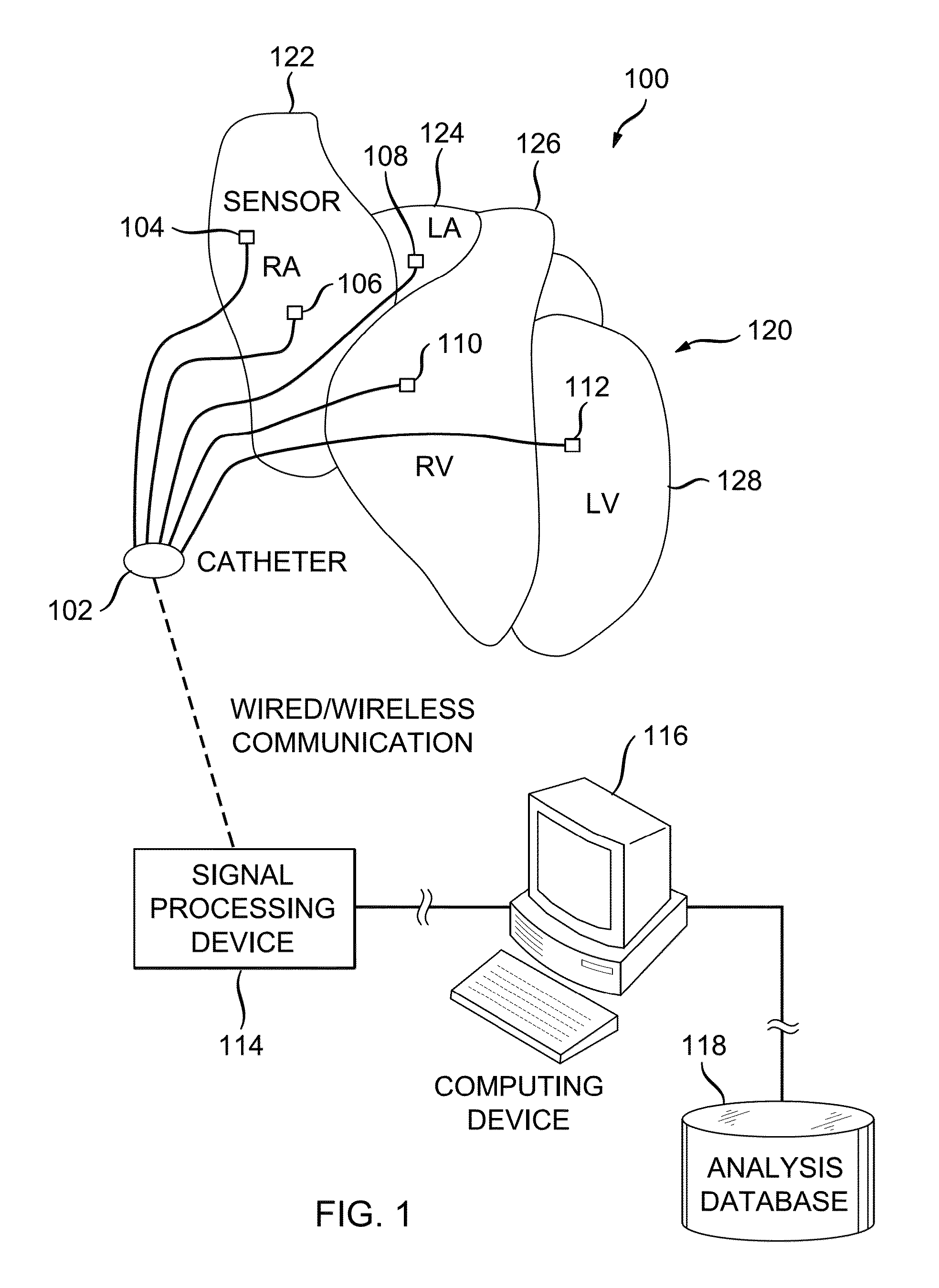 System and method of identifying sources for biological rhythms