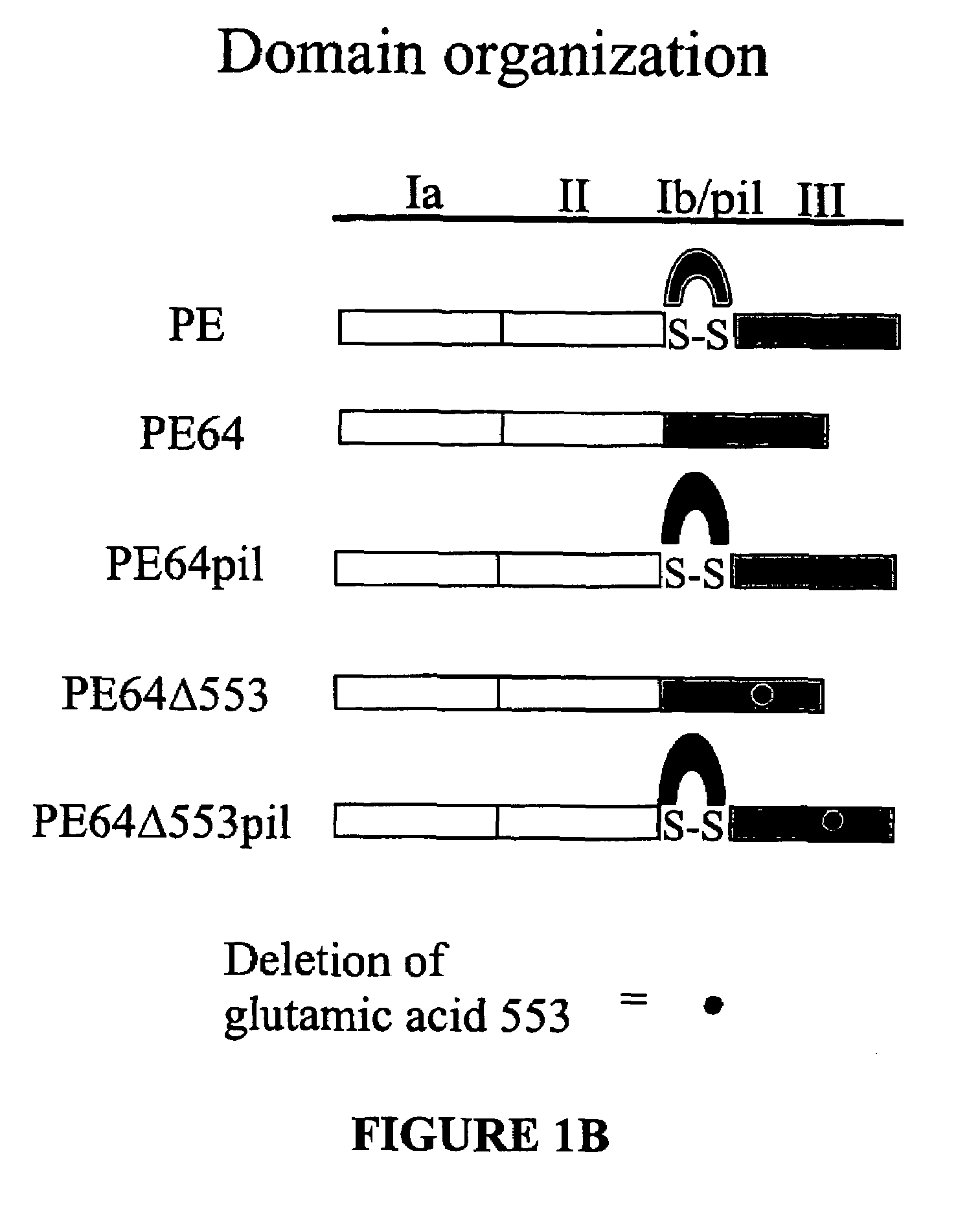 Chimeric protein comprising non-toxic <i>Pseudomonas </i>exotoxin A and Type IV pilin sequences