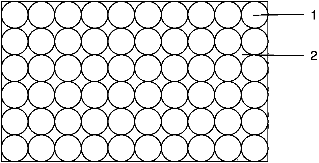 Double-layer filter element for suction head of pipettor