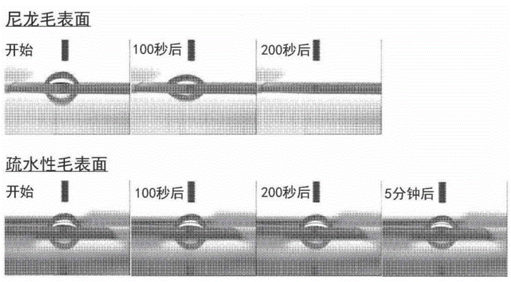 Toothbrush bristle having water-repellent properties, and toothbrush comprising same