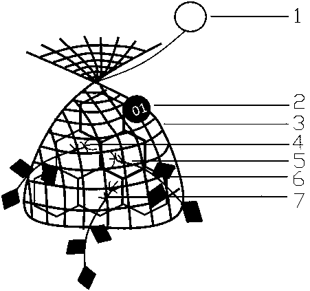 A method of repairing intertidal zone sargassum field