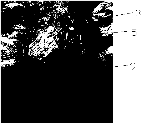 A method of repairing intertidal zone sargassum field