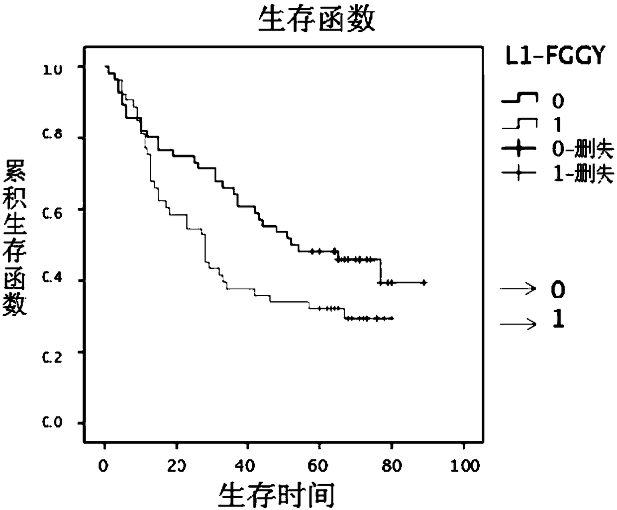 Retrotransposition gene L1-FGGY and application thereof as marker of lung squamous cell carcinoma