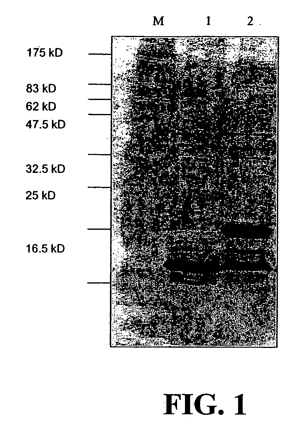 Antigen arrays for treatment of allergic eosinophilic diseases