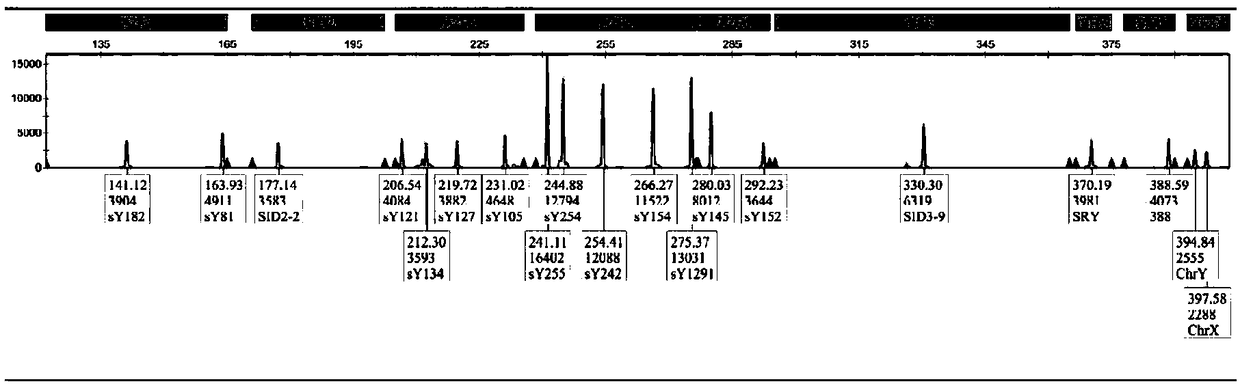 Detection kit for human Y-chromosomal microdeletion and application of detection kit