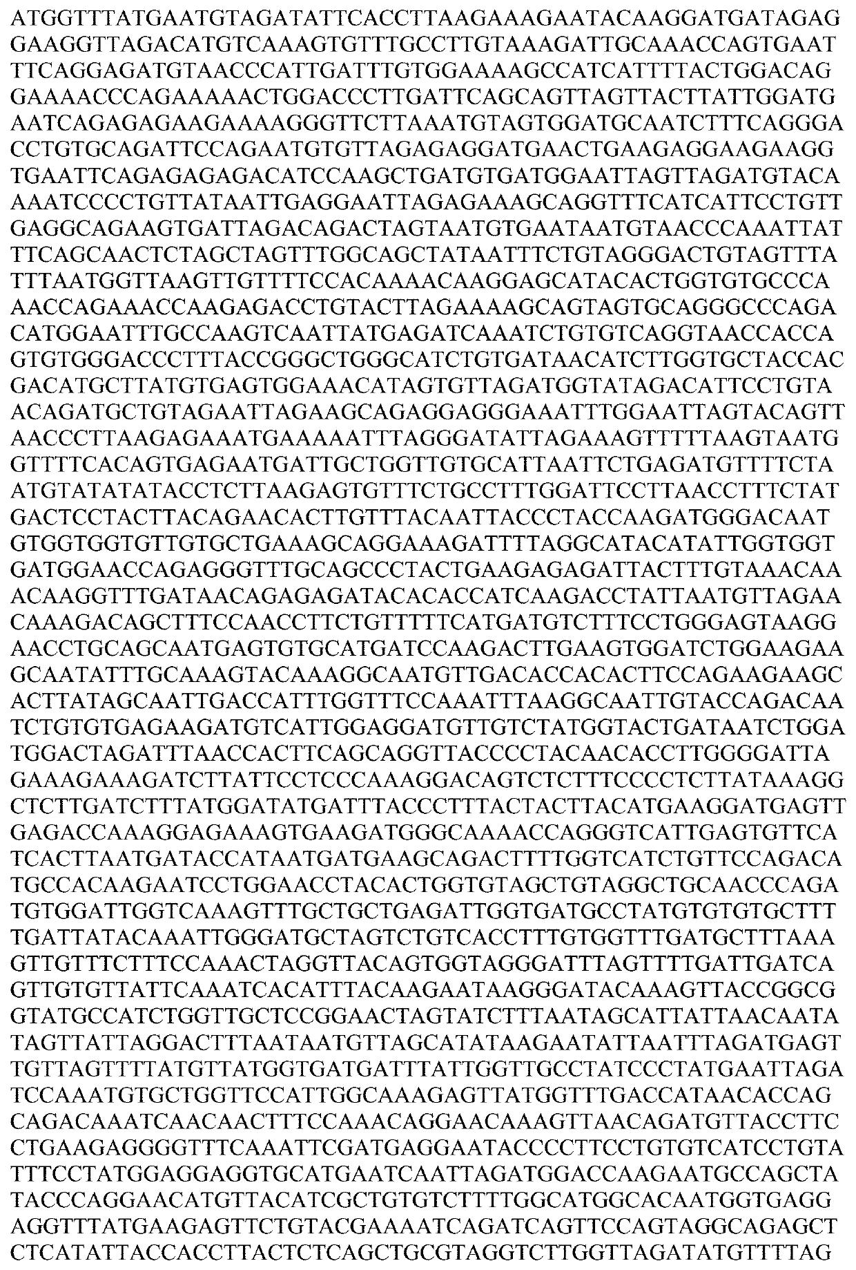 Isolation and characterization of porcine sapelovirus strain