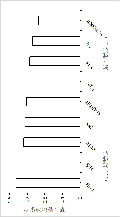 Screening method for real-time fluorescent quantitative PCR internal reference gene of Hibiscus hibiscus