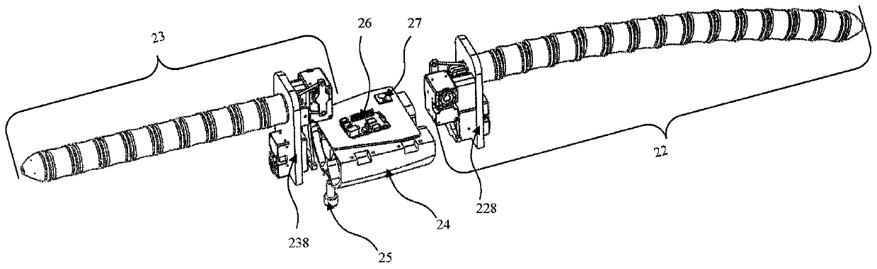 Wire-driven continuous bionic robotic dolphin