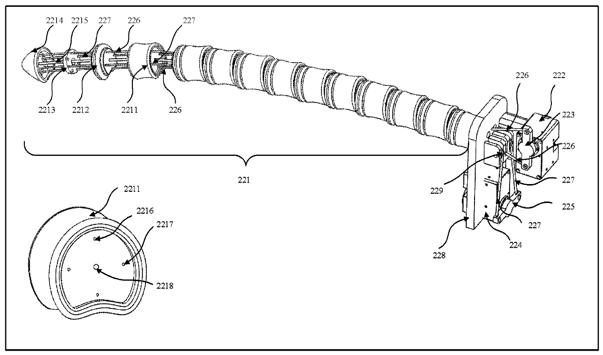 Wire-driven continuous bionic robotic dolphin