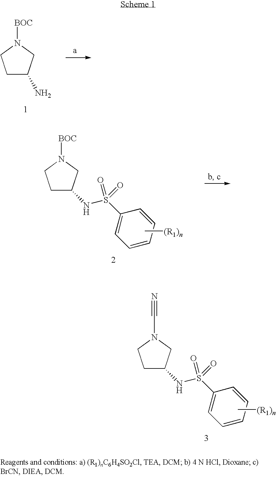 Cathepsin C Inhibitors