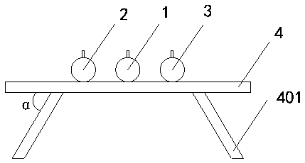 Roll flat head symmetry degree detection device and method