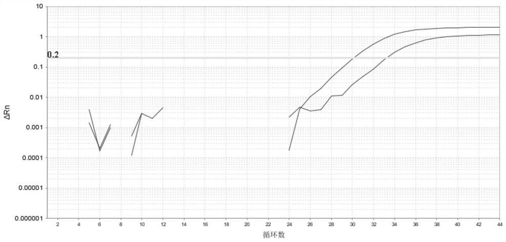 Method for detecting copy number variation of human CYP2D6 gene