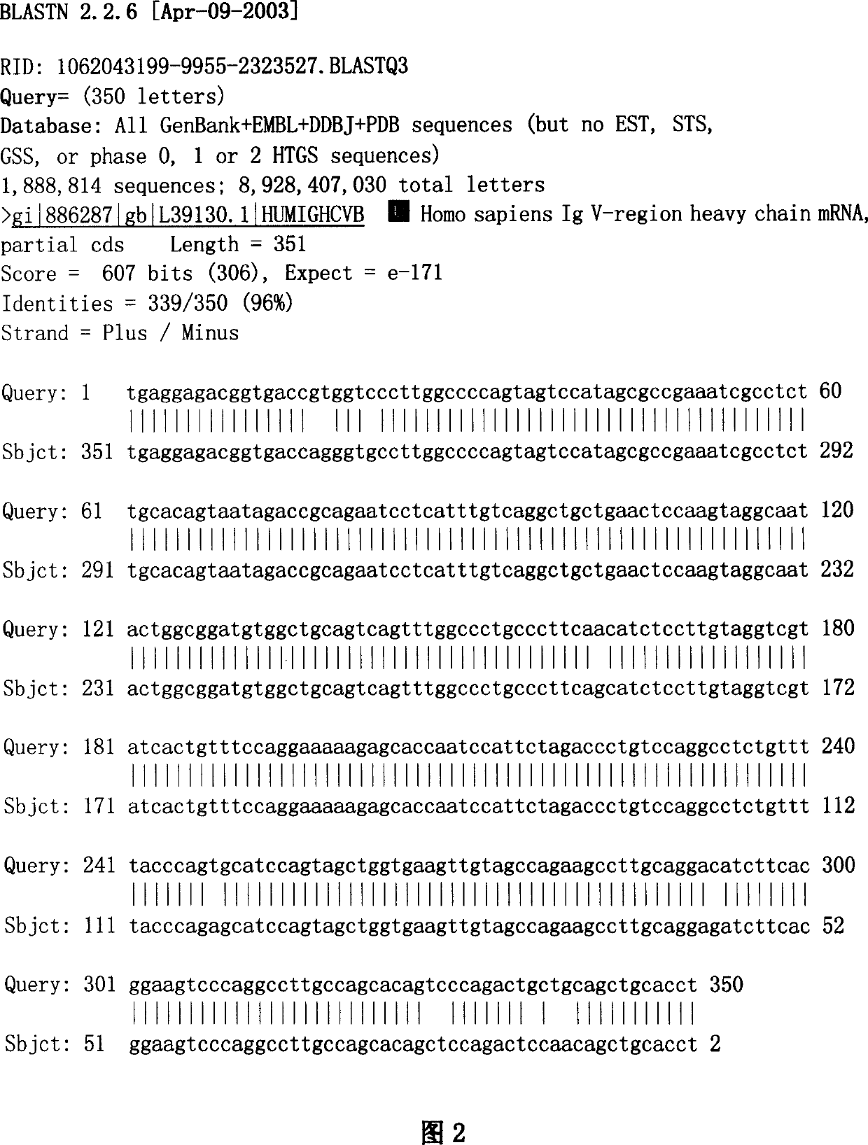 Variable area gene for single-clone antibody of anti-tumour necrotized factor with high neutralizing activity and preparation thereof