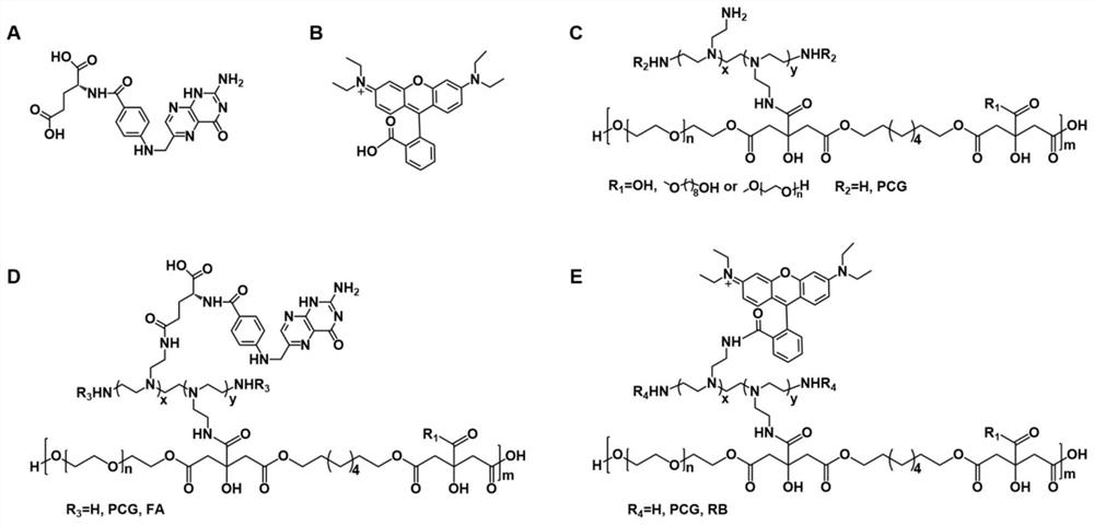 A nano-gene carrier for in vivo targeted tumor imaging and treatment and its preparation method and application